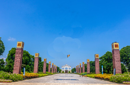 園林景觀 (4) 園林景觀 (4)