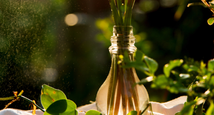 环境艺术设计培训课程