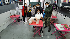 上海尊睿宠物美容培训中心-教学环境 上海尊睿宠物美容培训中心-教学环境