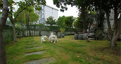 上海鑫艺宠物美容培训中心-学校简介