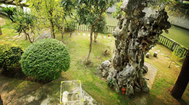 上海鑫艺宠物美容培训中心-学校环境