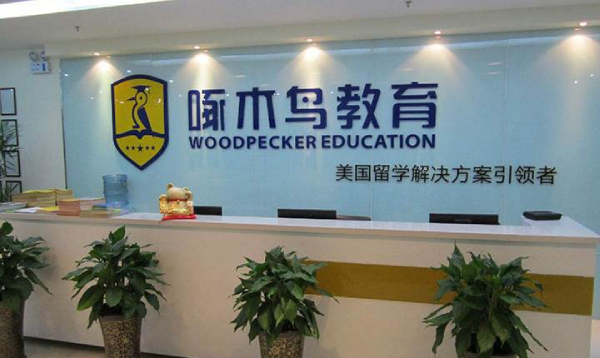 啄木鸟教育学校 啄木鸟教育学校