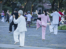 武術(shù) 武術(shù)