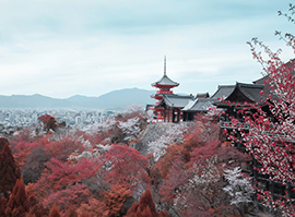 日语N5-N1考级 日语N5-N1考级