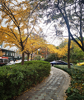 上海动悦游戏职业教育培训学校-学校环境 上海动悦游戏职业教育培训学校-学校环境