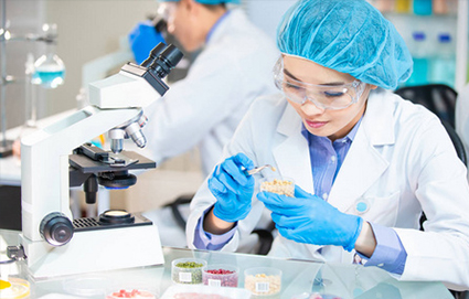 广州ISO22000食品安全外审员训练班