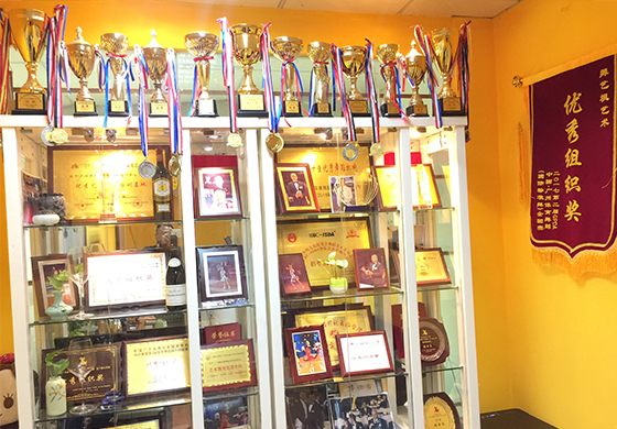 舞艺枫环境-学校荣誉墙