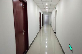 学校环境 (81) 学校环境 (81)