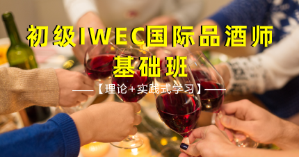 南京初级IWEC国际品酒师基础班