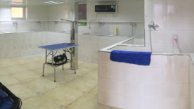 学校环境 - 2021-01-28T120654.858 学校环境 - 2021-01-28T120654.858