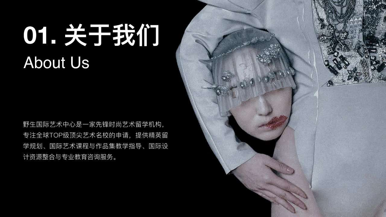 北京野生国际培训学校 北京野生国际培训学校