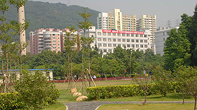 深圳深信职教育培训学校-校园环境
