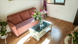 学校环境 学校环境