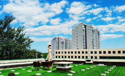 圣宠宠物美容培训学校