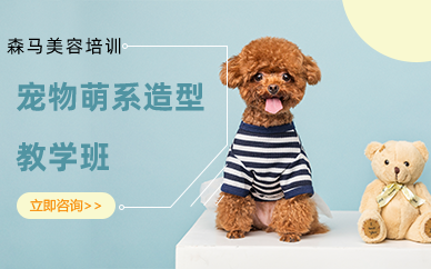 南京宠物萌系造型教学班