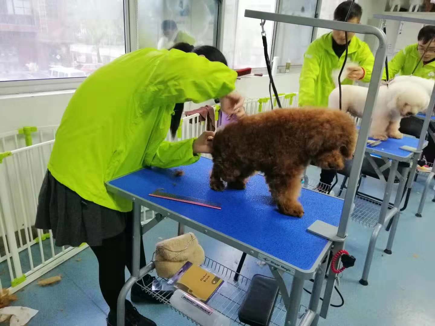 教学现场 教学现场