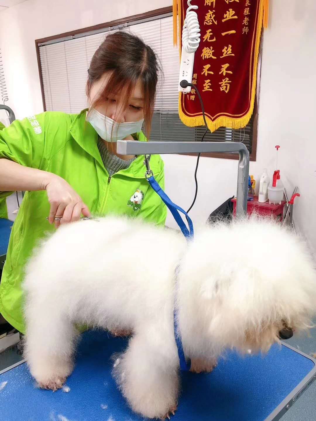 教学风采 教学风采
