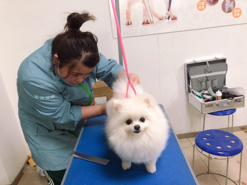 上课现场 上课现场