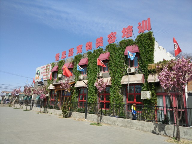 学校全景 学校全景