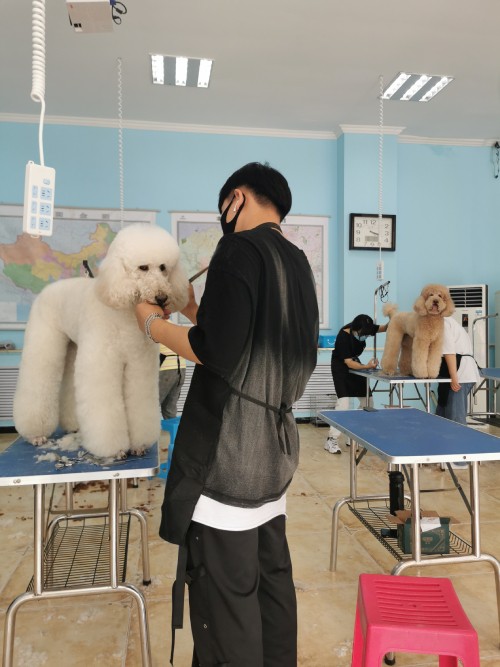 教学现场 (2)