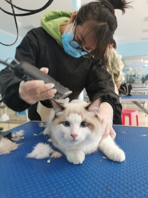 教学风采 (1)