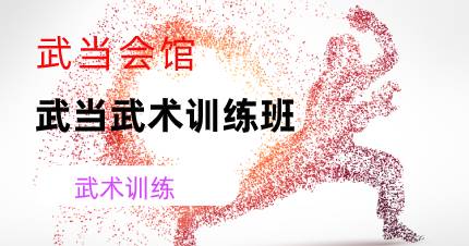 佛山武当武术训练班