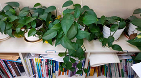 上海心叶教育培训学校-校园环境