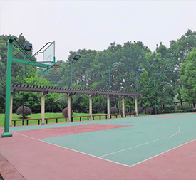 籃球場(chǎng) 籃球場(chǎng)