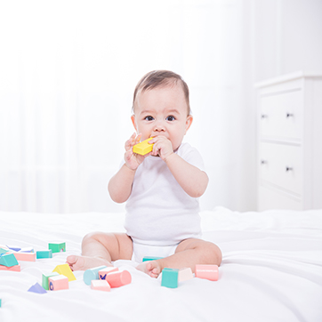 培训计划 培训计划