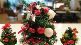 学校环境 (22) 学校环境 (22)