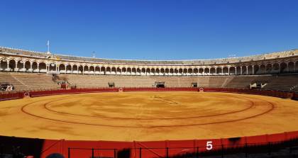 西班牙语定制培训班