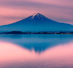 日本留学 日本留学