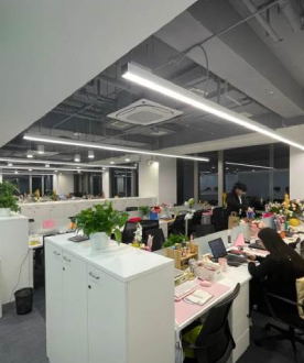 学校环境 (13) 学校环境 (13)