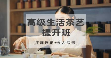 杭州高级生活茶艺提升班
