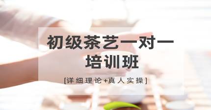 杭州初级茶艺一对一培训班