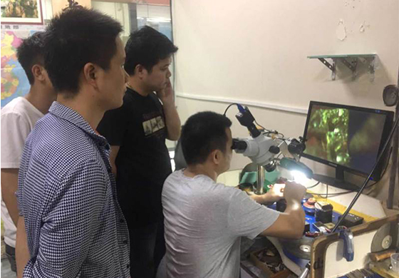 课堂剪影-实操教学