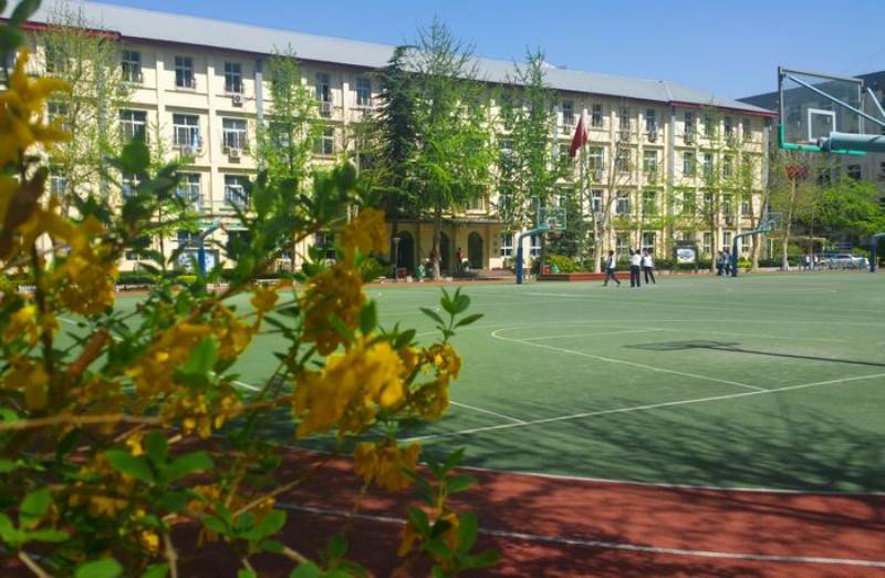 篮球场 篮球场