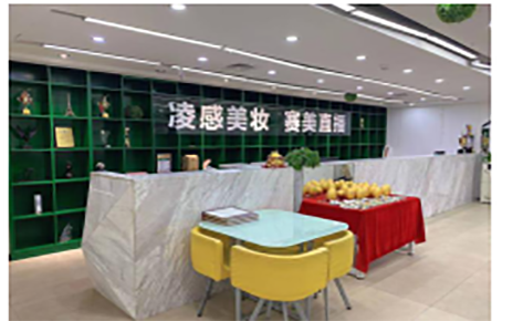 东莞凌感职业培训学校 东莞凌感职业培训学校