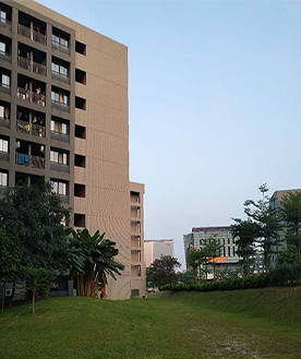 学校外部环境 学校外部环境