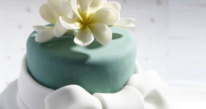 翻糖蛋糕基础培训课程