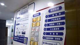 康乃馨走道 康乃馨走道