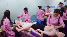 康乃馨練習(xí) 康乃馨練習(xí)