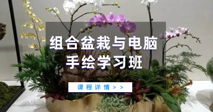 佛山组合盆栽与电脑手绘学习班