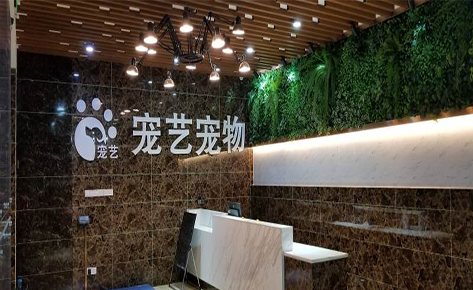 东莞宠艺宠物美容师培训中心