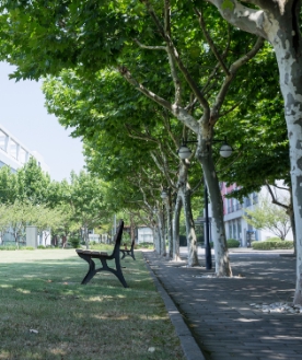 鄭州火星時(shí)代學(xué)校 鄭州火星時(shí)代學(xué)校