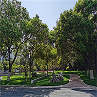 安徽广播电视大学