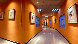 教学走廊 教学走廊