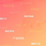 高级电商 高级电商