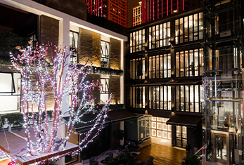 環(huán)境1 環(huán)境1