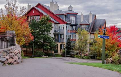 加拿大名校保录保签计划培训班